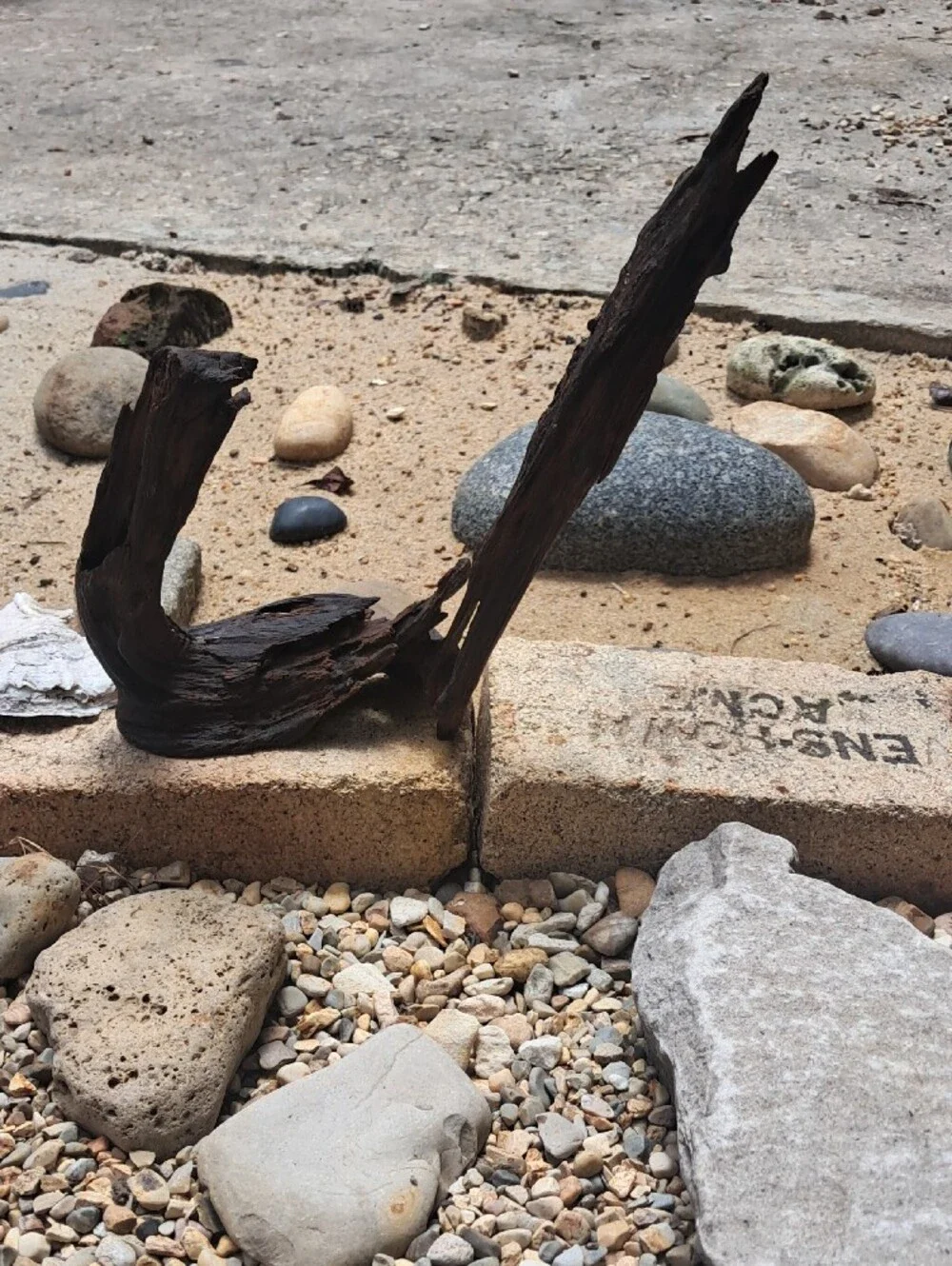 Rustic Oiled Driftwood Accent Sculpture for Home Decor